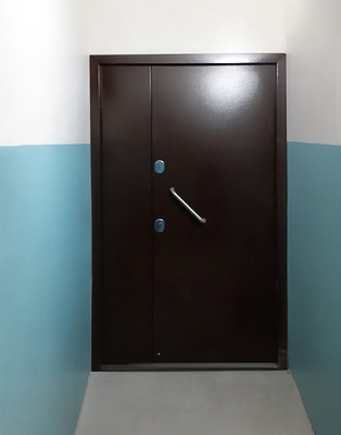 Тамбурная входная дверь